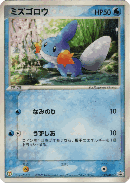Mudkip Pokémon TCG card art