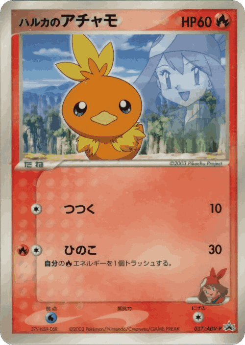 May's Torchic Pokémon TCG card art