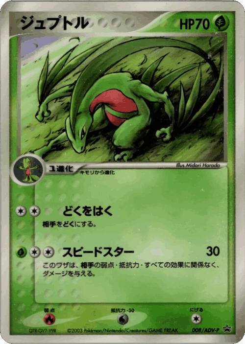 Grovyle Pokémon TCG card art