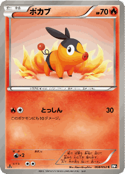 Tepig Pokémon TCG card art