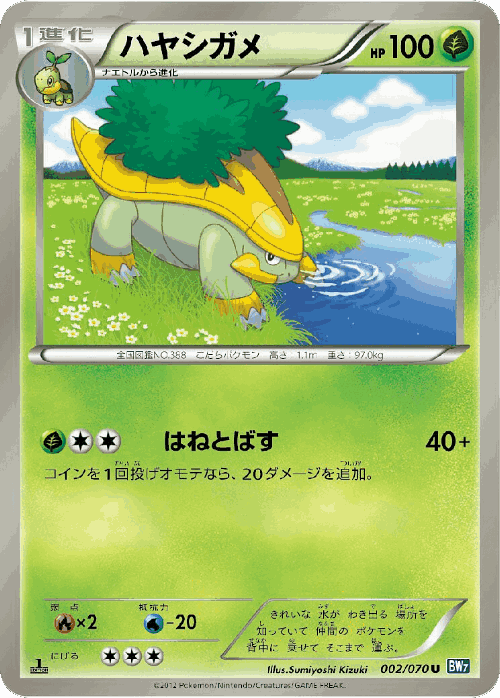 Grotle Pokémon TCG card art