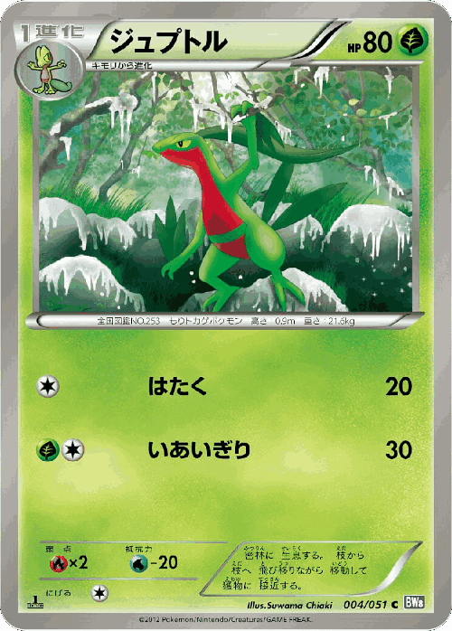 Grovyle Pokémon TCG card art