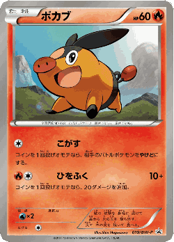Tepig Pokémon TCG card art