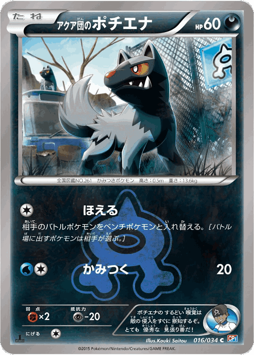 Team Aqua's Poochyena Pokémon TCG card art