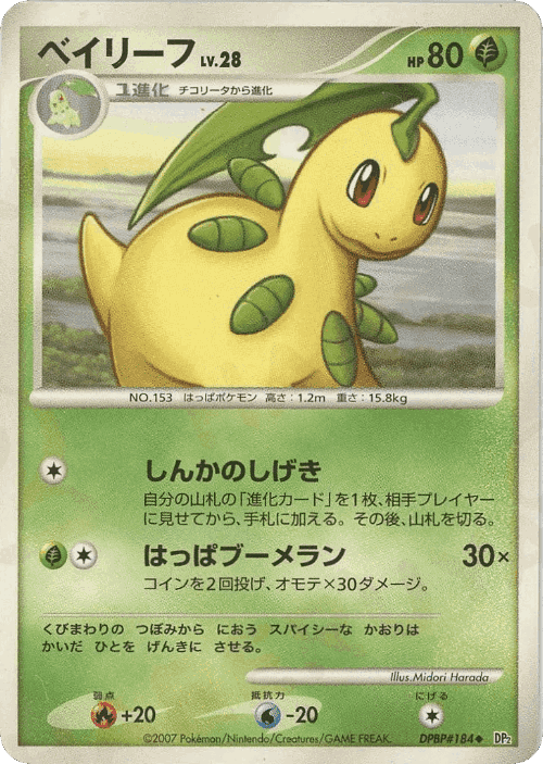 Bayleef Pokémon TCG card art