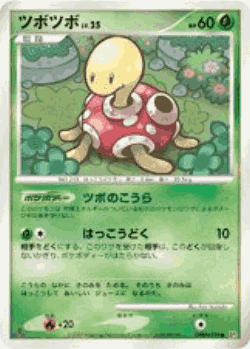 Shuckle Pokémon TCG card art