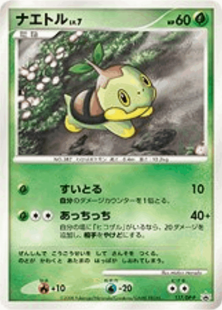 Turtwig #117 from Diamond & Pearl Promos - Promo - Illustrated by Midori Harada
