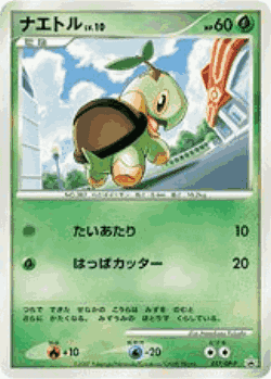 Turtwig Pokémon TCG card art