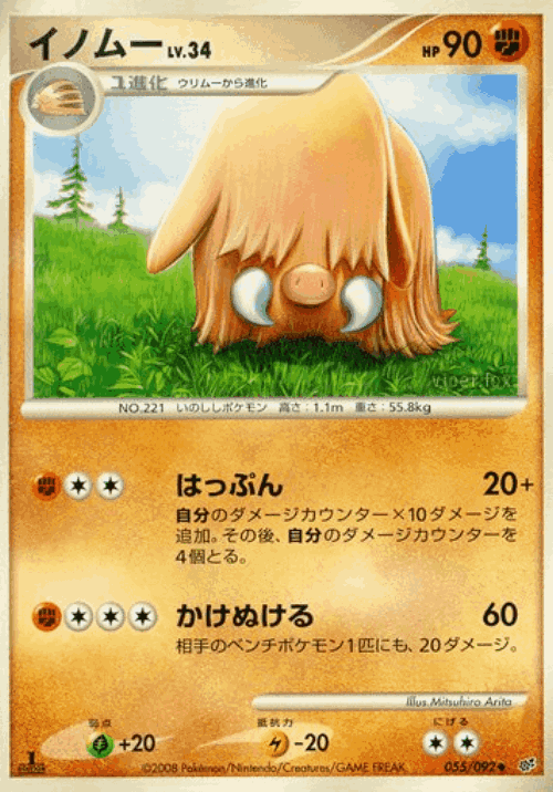 Piloswine 55, Intense Fight in the Destroyed Sky