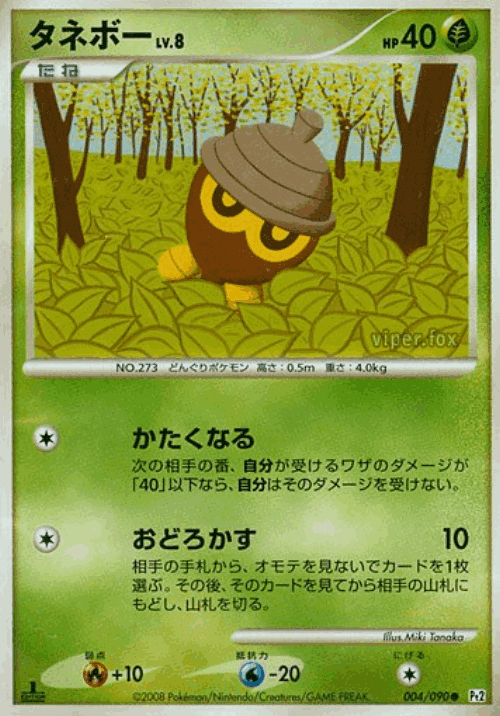 Seedot Pokémon TCG card art