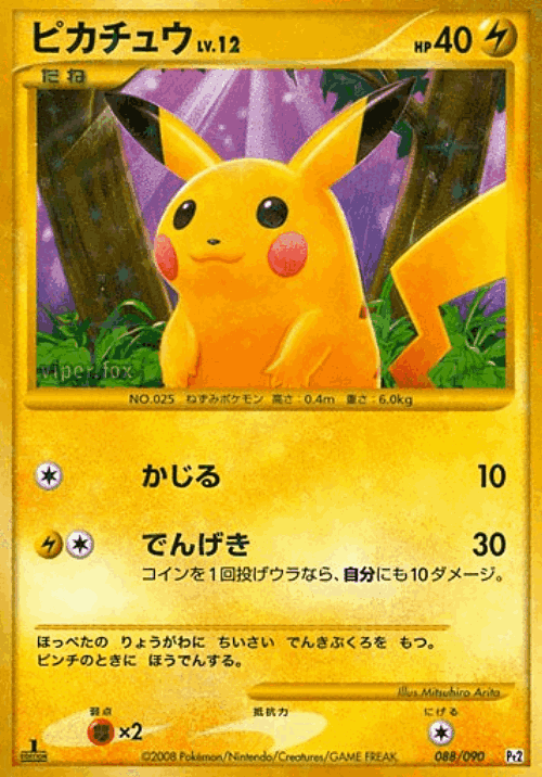 Pikachu 88, Bonds to the End of Time