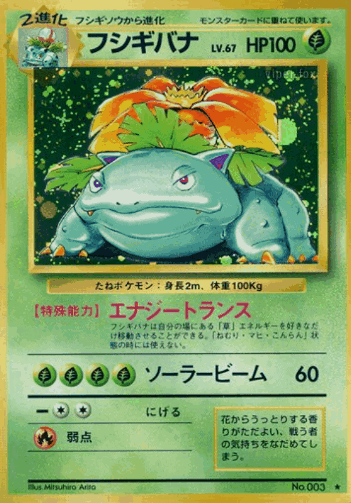 Venusaur Pokémon TCG card art