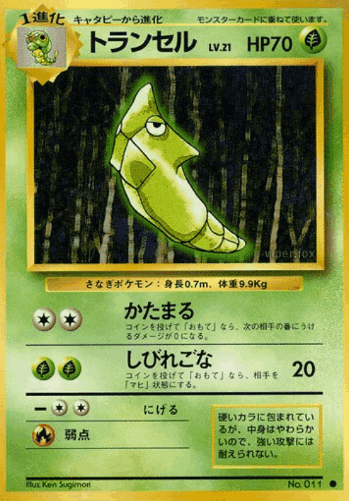 Metapod Pokémon TCG card art