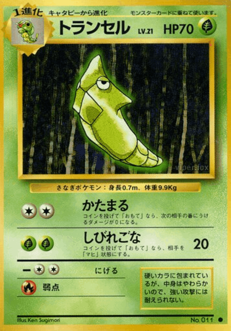 Metapod #3 from Expansion Pack - Common - Illustrated by Ken Sugimori