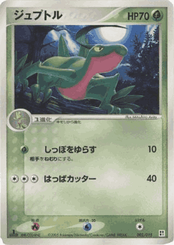 Grovyle Pokémon TCG card art