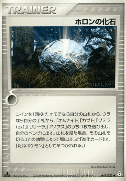 ホロンの化石 49, ホロンの幻影