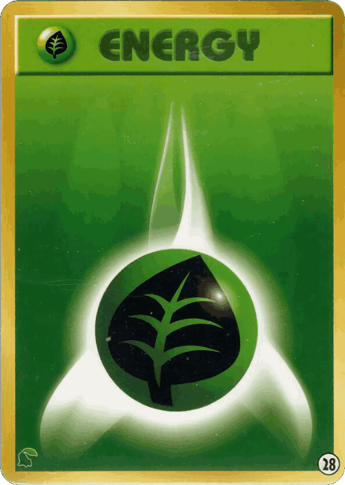 Grass Energy 28, Intro Pack Neo (Chikorita)