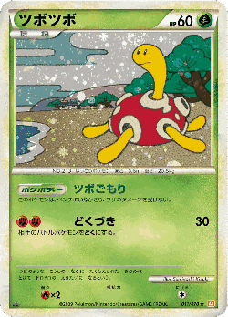 Shuckle Pokémon TCG card art