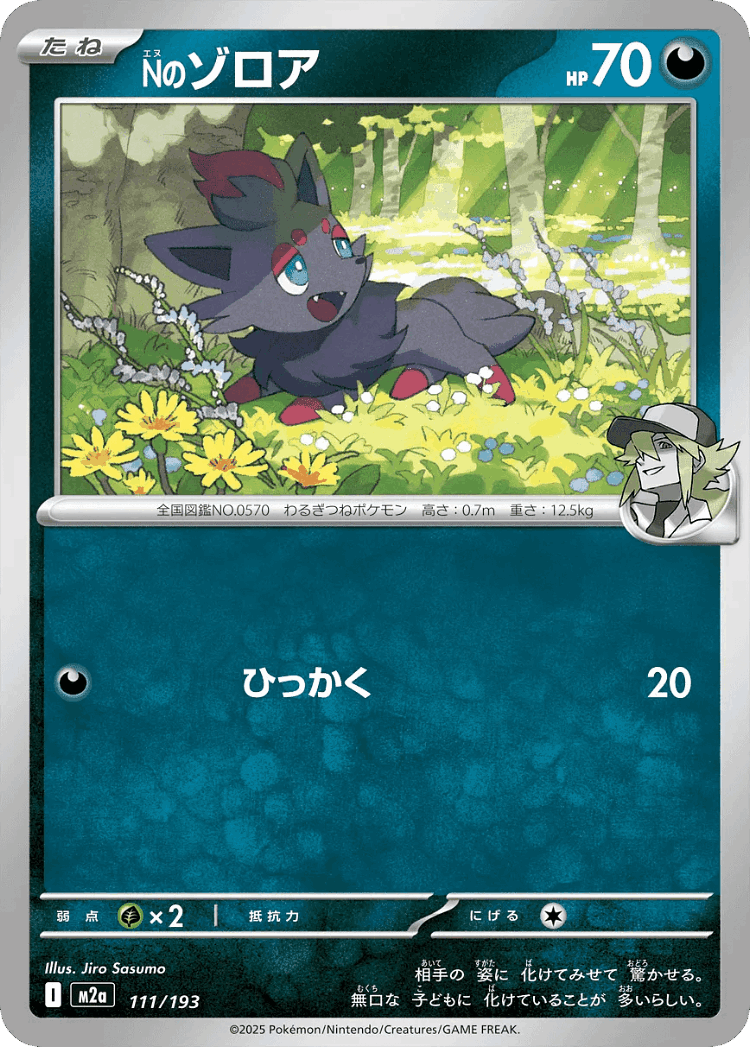 N's Zorua #111 from MEGA Dream ex - Illustrated by Jiro Sasumo