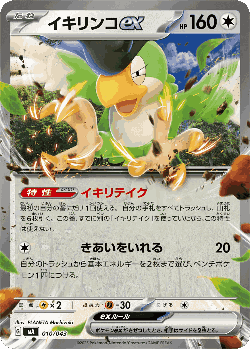 Squawkabilly ex Pokémon TCG card art
