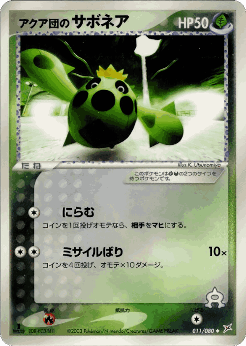 Team Aqua's Cacnea Pokémon TCG card art