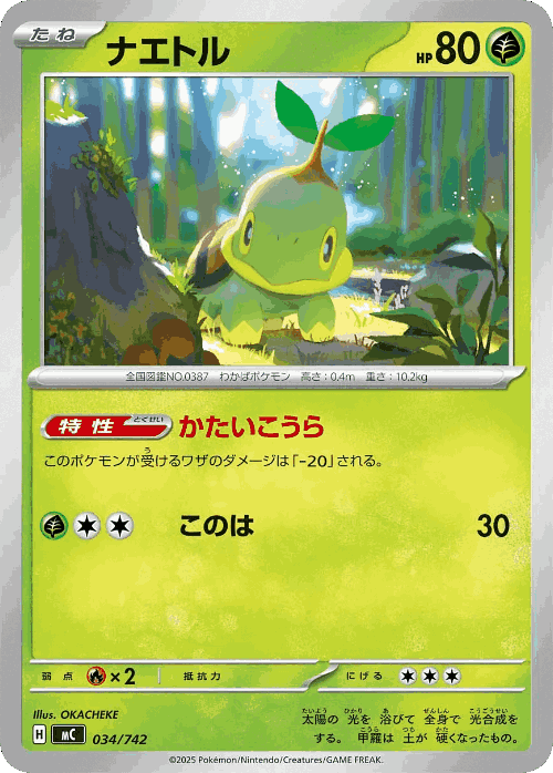 Turtwig 34, Start Deck 100 Battle Collection