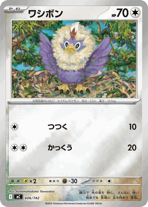 Rufflet Pokémon TCG card art