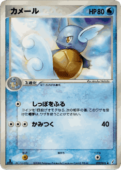 Wartortle Pokémon TCG card art
