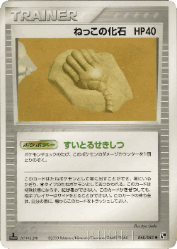 ねっこの化石 48, 砂漠のきせき