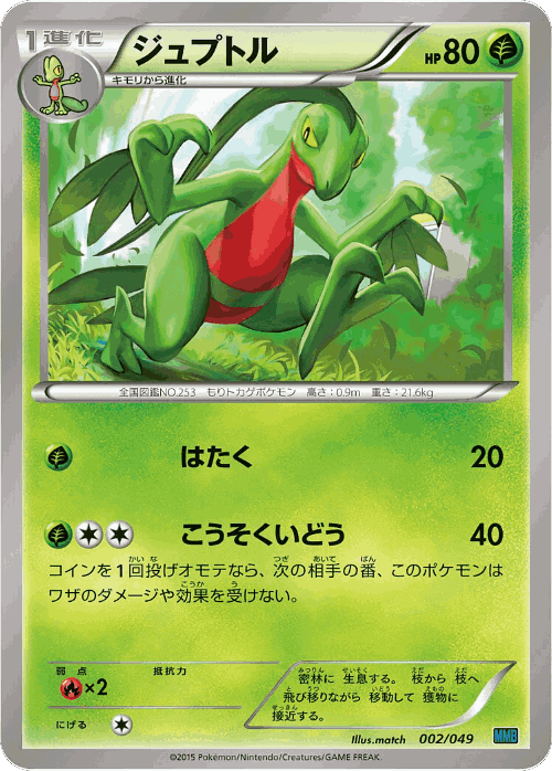 Grovyle Pokémon TCG card art