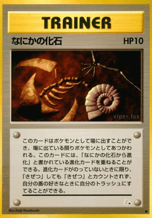 なにかの化石 46, 化石の秘密