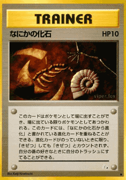 Mysterious Fossil 46, Mystery of the Fossils