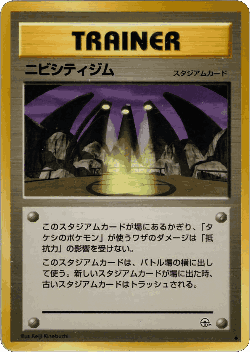 Pewter City Gym Pokémon TCG card art