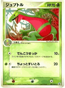 Grovyle 81, PCG Promos