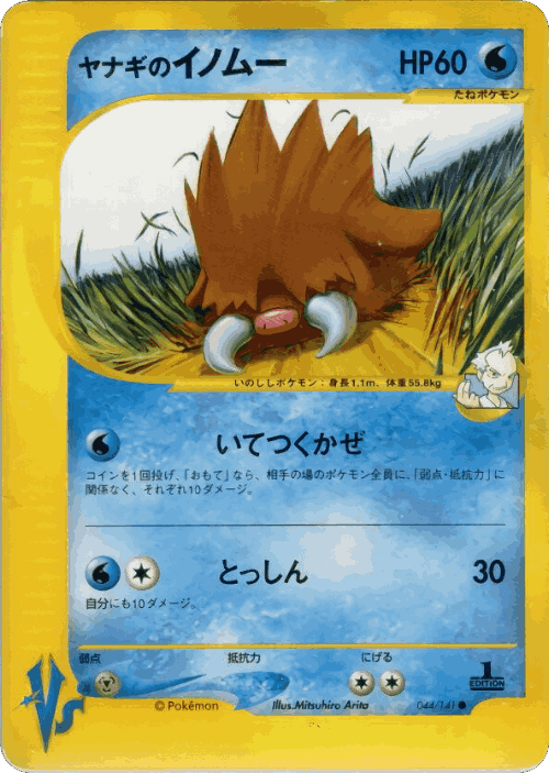 Pryce's Piloswine 44, Pokémon VS