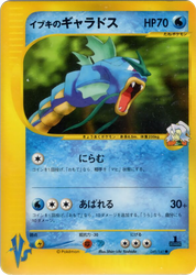 Clair's Gyarados Pokémon VS card