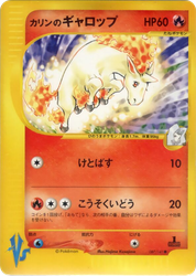 Karen's Rapidash Pokémon VS card