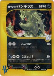 Karen's Tyranitar Pokémon VS card
