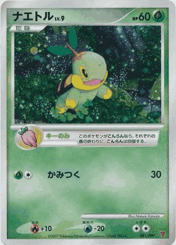 Turtwig Pokémon TCG card art