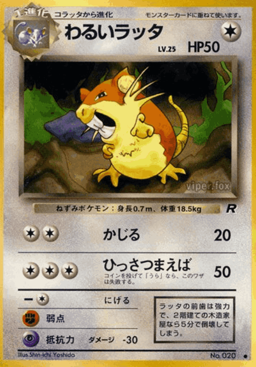 Dark Raticate 46, Rocket Gang