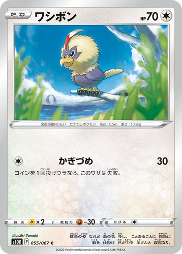 Rufflet 55, Time Gazer