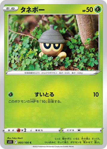 Seedot Pokémon TCG card art