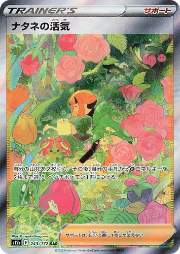 ナタネの活気 243, VSTAR Universe