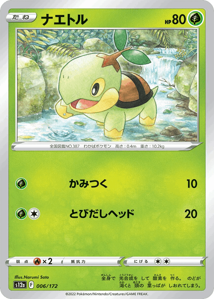 Turtwig #6 from VSTAR Universe - Illustrated by Narumi Sato