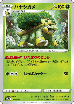 Grotle Pokémon TCG card art