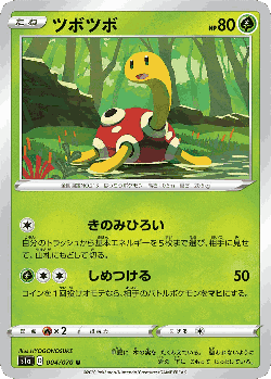 Shuckle Pokémon TCG card art