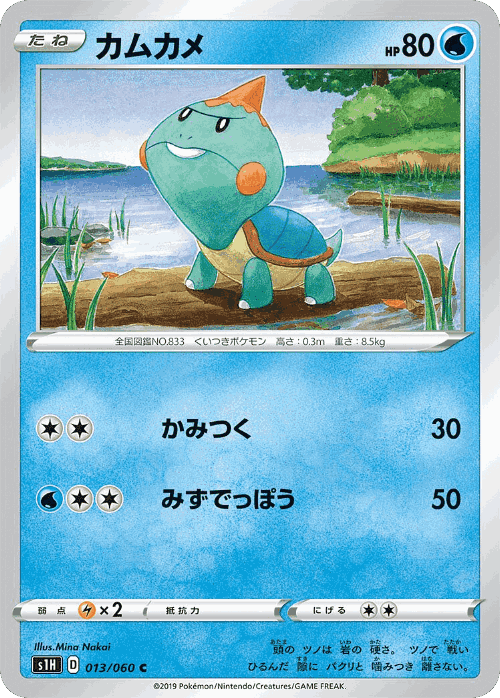 Chewtle Pokémon TCG card art