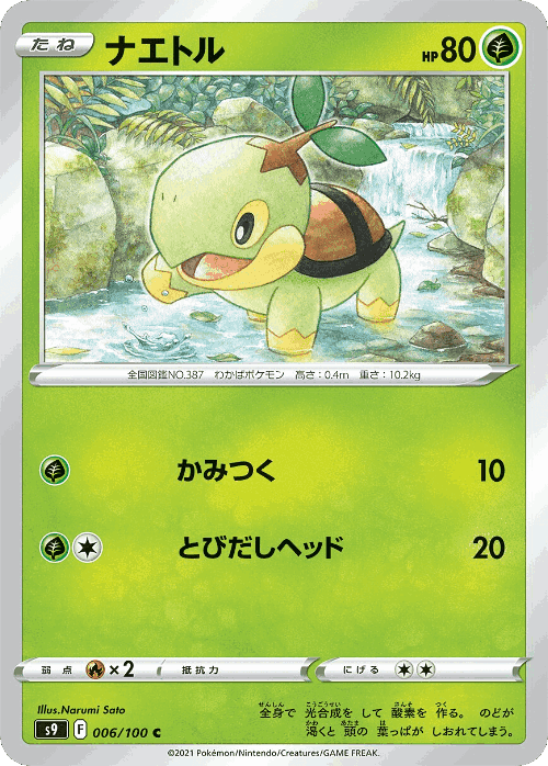 Turtwig Pokémon TCG card art