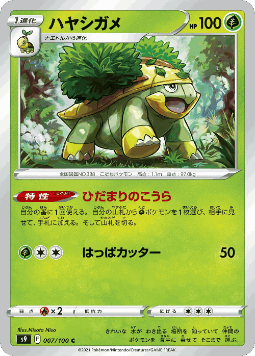 Grotle Pokémon TCG card art
