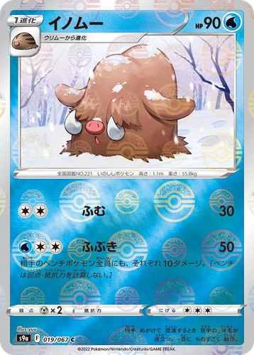 Piloswine #19 from Battle Region - Common - Illustrated by yuu